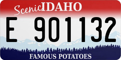 ID license plate E901132