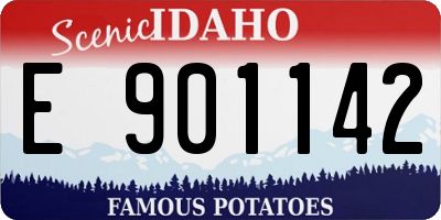 ID license plate E901142