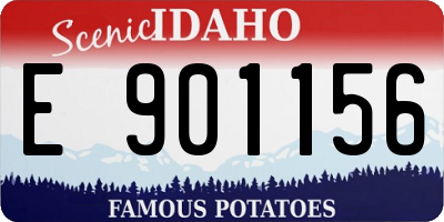 ID license plate E901156
