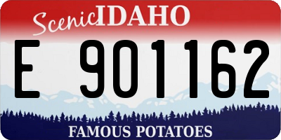 ID license plate E901162