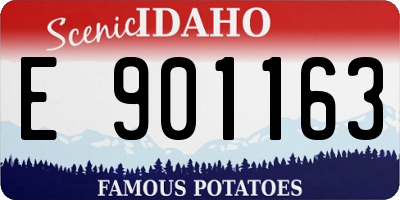 ID license plate E901163