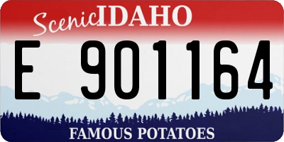 ID license plate E901164