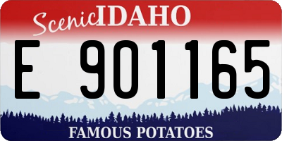 ID license plate E901165