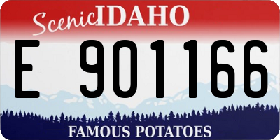 ID license plate E901166