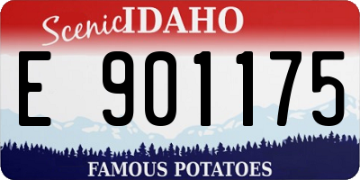 ID license plate E901175