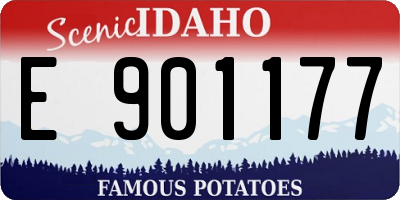 ID license plate E901177