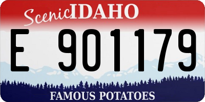 ID license plate E901179