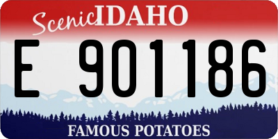 ID license plate E901186