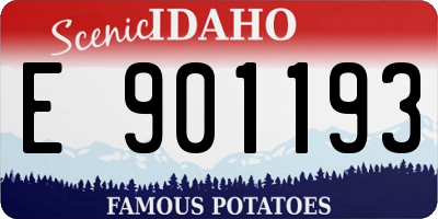 ID license plate E901193