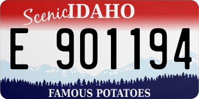ID license plate E901194