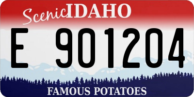 ID license plate E901204