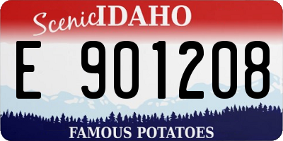 ID license plate E901208