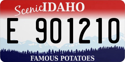 ID license plate E901210
