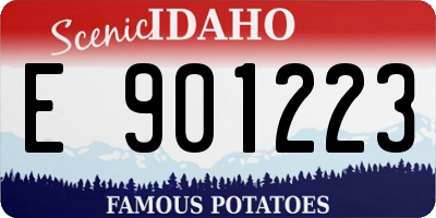 ID license plate E901223