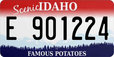 ID license plate E901224