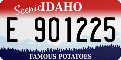 ID license plate E901225