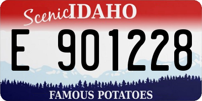 ID license plate E901228