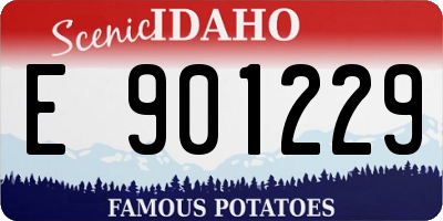 ID license plate E901229