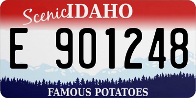 ID license plate E901248