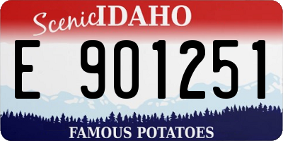 ID license plate E901251