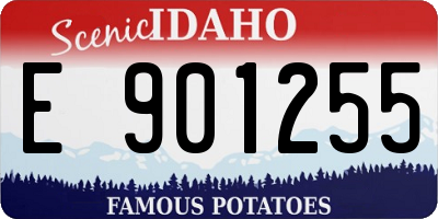 ID license plate E901255