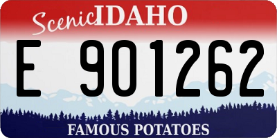 ID license plate E901262