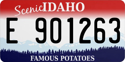 ID license plate E901263