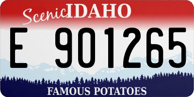 ID license plate E901265