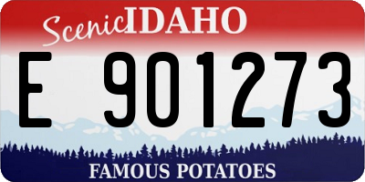 ID license plate E901273