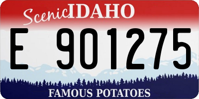 ID license plate E901275