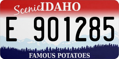 ID license plate E901285
