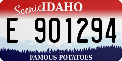 ID license plate E901294