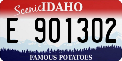 ID license plate E901302
