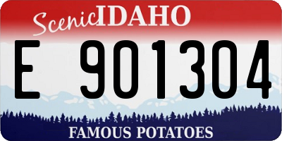ID license plate E901304