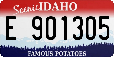 ID license plate E901305