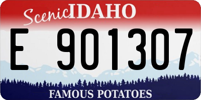 ID license plate E901307