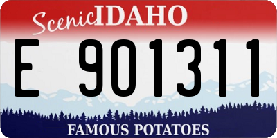 ID license plate E901311