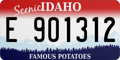 ID license plate E901312