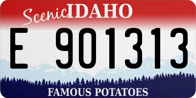 ID license plate E901313