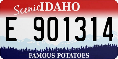 ID license plate E901314