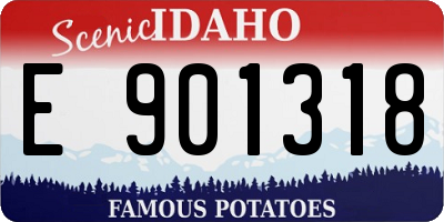 ID license plate E901318