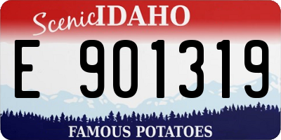 ID license plate E901319