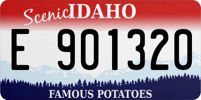 ID license plate E901320