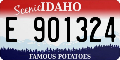 ID license plate E901324