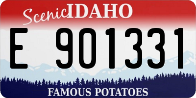 ID license plate E901331