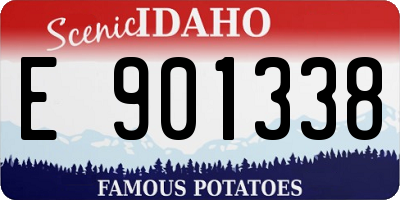 ID license plate E901338