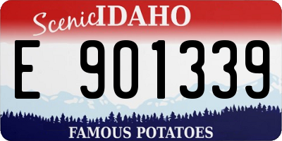 ID license plate E901339