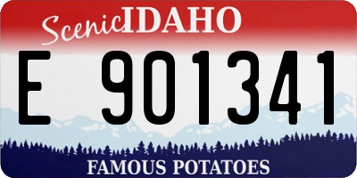 ID license plate E901341
