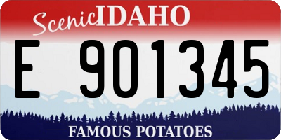 ID license plate E901345