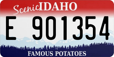 ID license plate E901354